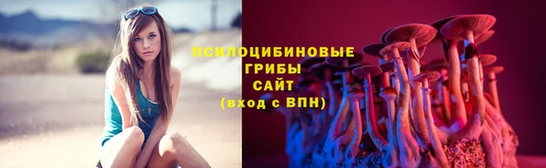 молекула духа Краснослободск