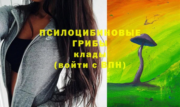 молекула духа Краснослободск