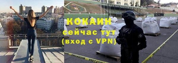 молекула духа Краснослободск