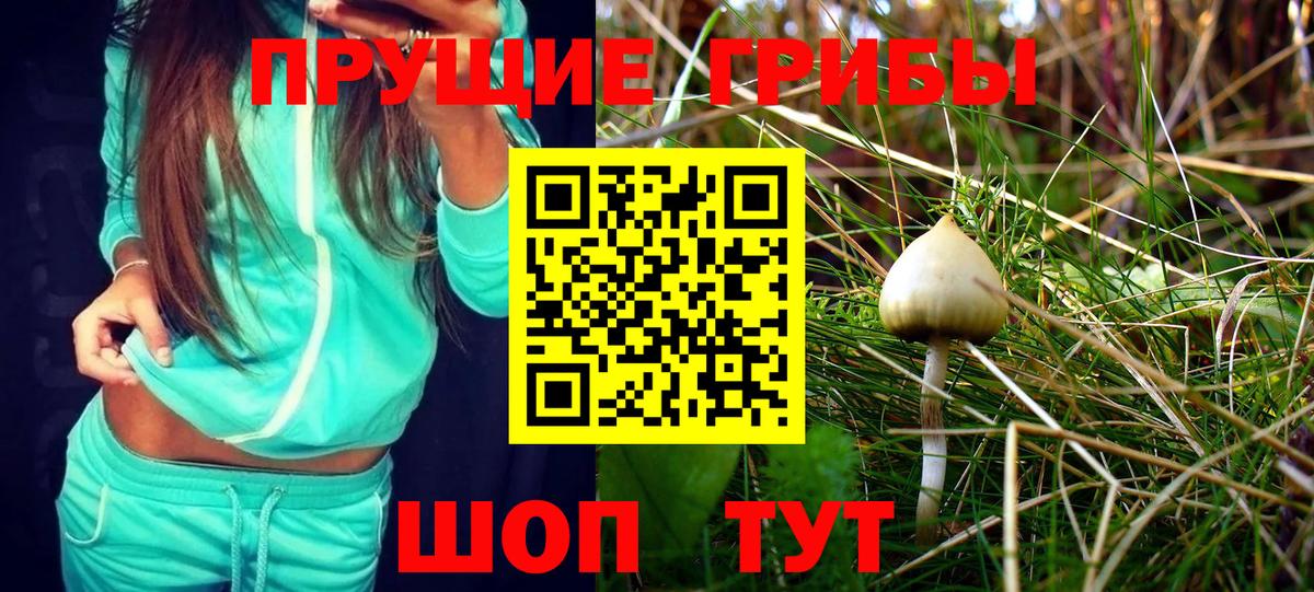 Дюртюли  Галлюциногенные грибы MAGIC MUSHROOMS  Вход с VPN 