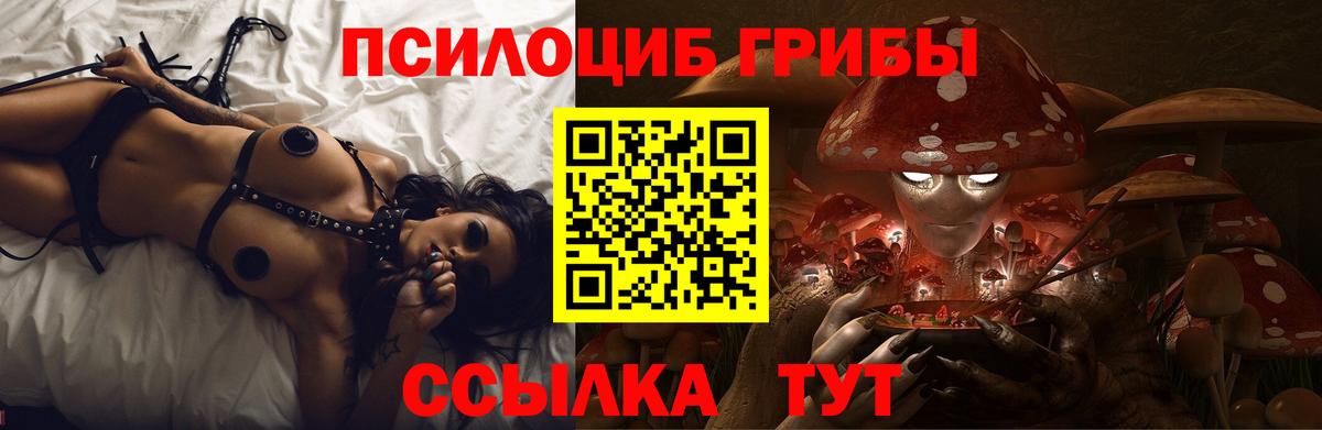 купить  сайты  Дюртюли  Псилоцибиновые грибы Magic Shrooms 